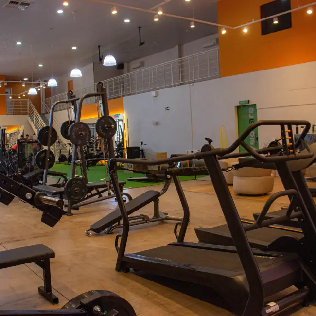 Interior de academia moderna com equipamentos de musculação e esteiras Matrix, ideal para personal training e treinos em grupo.